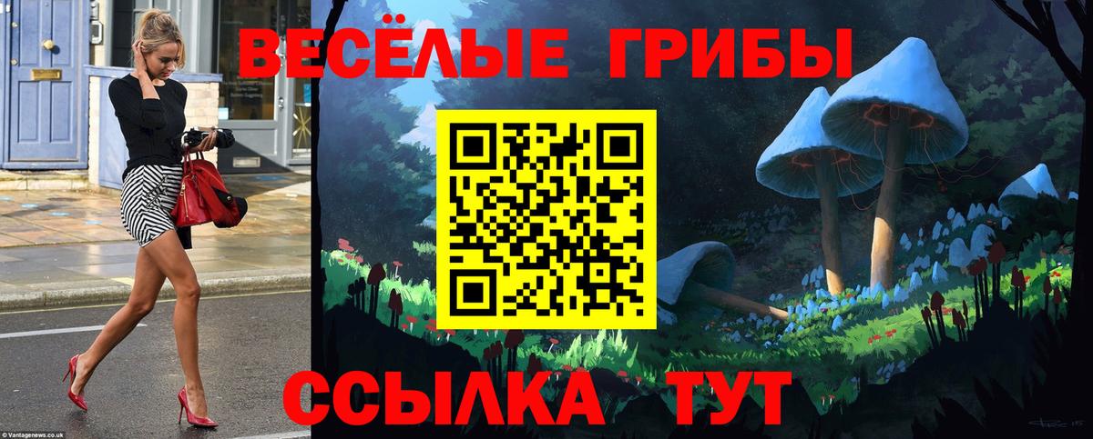 Артём  купить наркотики цена  Псилоцибиновые грибы MAGIC MUSHROOMS  Вход с VPN  Галлюциногенные грибы Psilocybine cubensis 