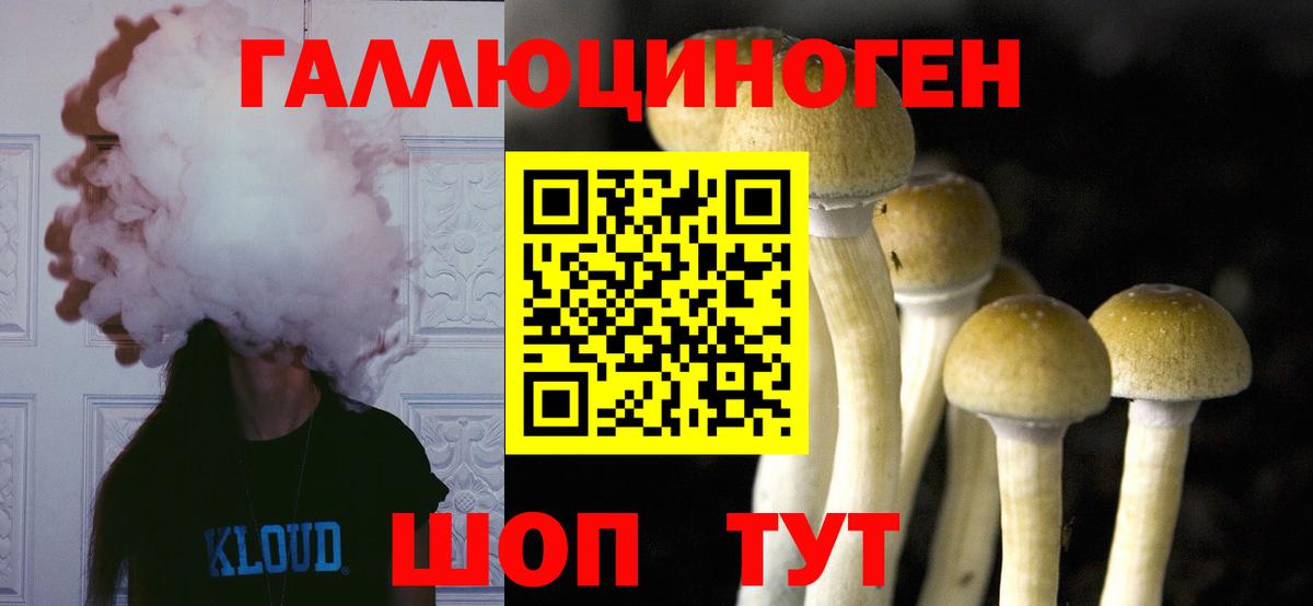 Псилоцибиновые грибы мицелий Артём